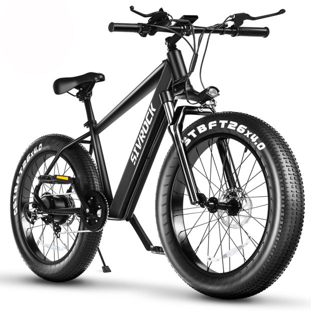 Professional Electric Bike For Adults, 26 X