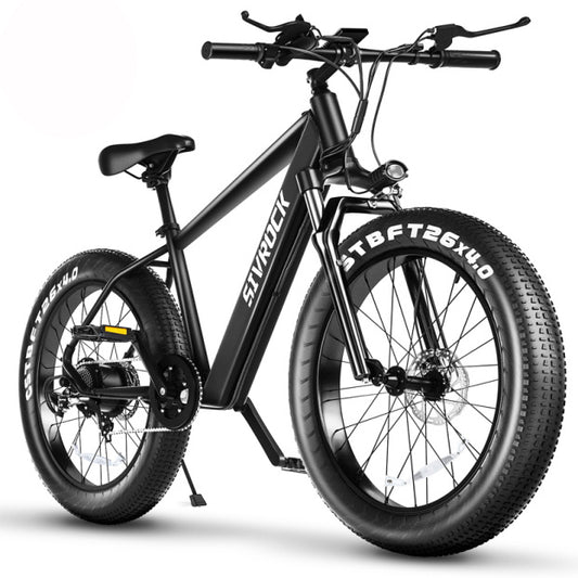 Professional Electric Bike For Adults, 26 X